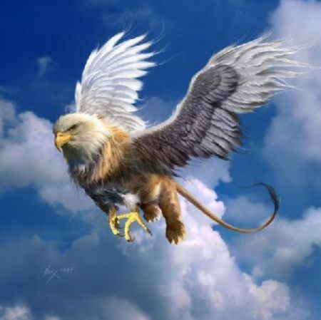 gryf.jpg